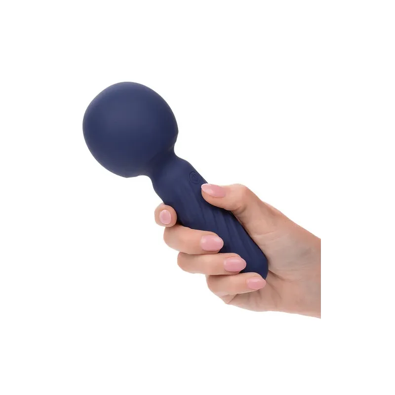 Masseur vibrant CALEXOTICS Charisma Seduction violet silicone 12 fonctions rechargeable