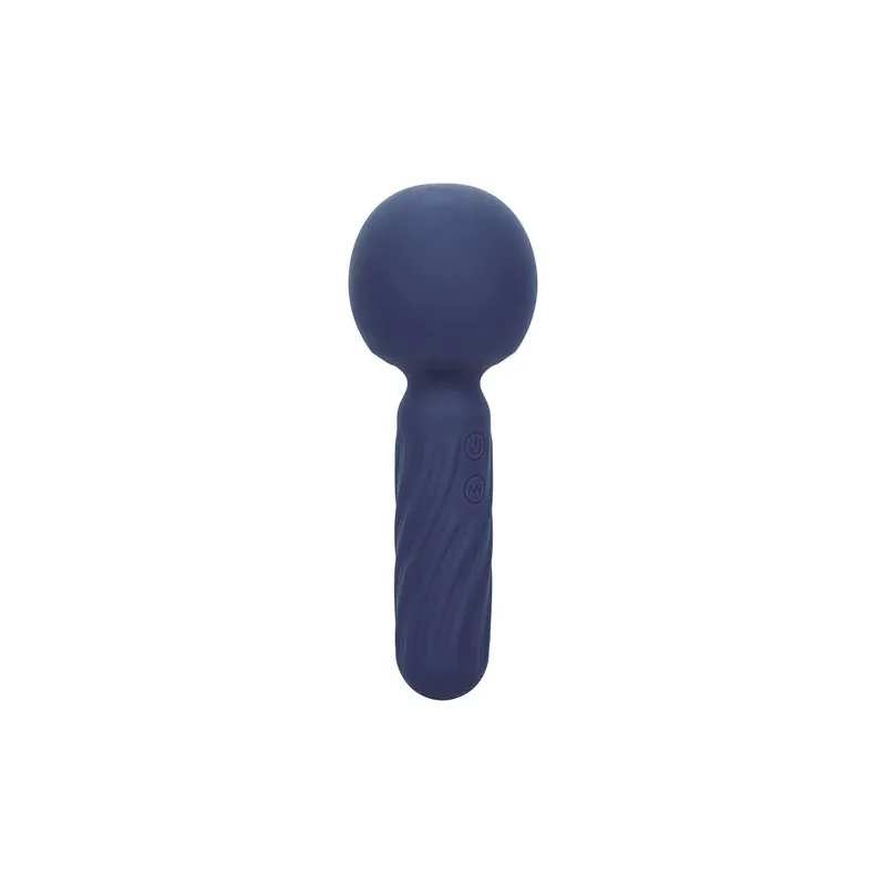 Masseur vibrant CALEXOTICS Charisma Seduction violet silicone 12 fonctions rechargeable