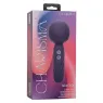 Masseur vibrant CALEXOTICS Charisma Seduction violet silicone 12 fonctions rechargeable