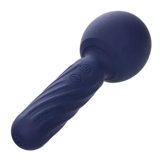 Masseur vibrant CALEXOTICS Charisma Seduction violet silicone 12 fonctions rechargeable