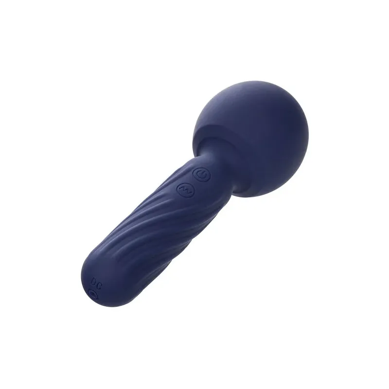 Masseur vibrant CALEXOTICS Charisma Seduction violet silicone 12 fonctions rechargeable