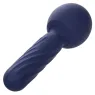 Masseur vibrant CALEXOTICS Charisma Seduction violet silicone 12 fonctions rechargeable